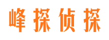 阳西市侦探公司